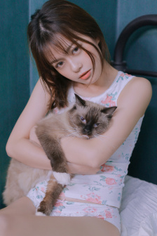 联姻POP11H
